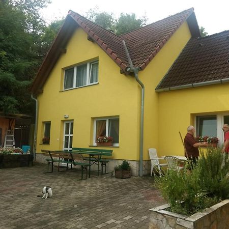 Foki Vendeghaz Villa Hidegseg Exterior photo