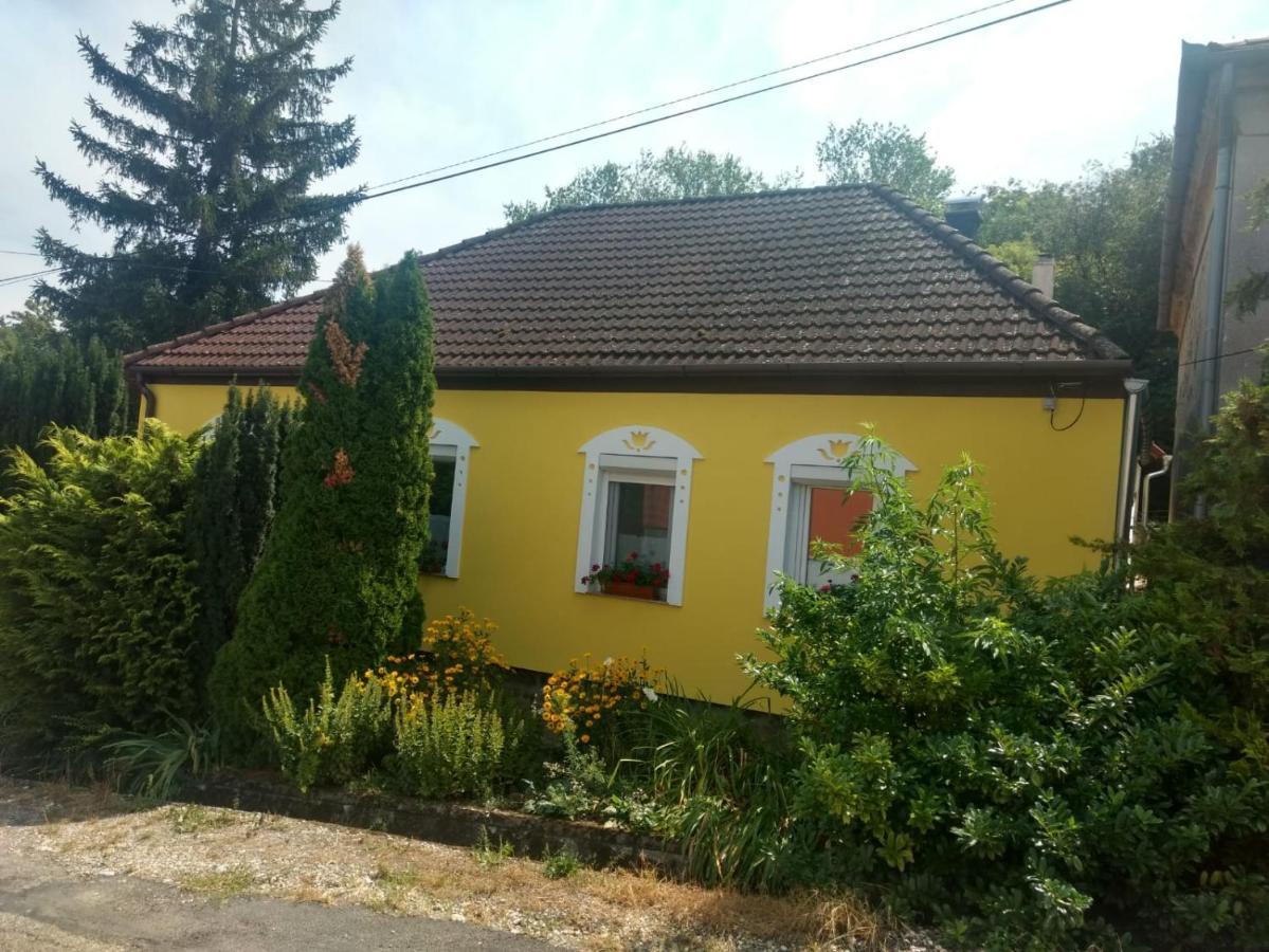 Foki Vendeghaz Villa Hidegseg Exterior photo